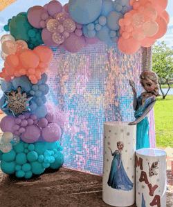 Cinderella Balloons Garland Backdrop