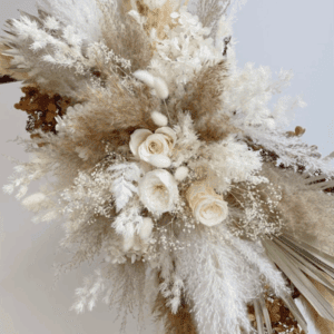 Dried Flowers Pampas
