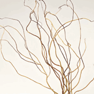 Dried Branches Rental