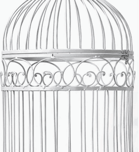 Bird Cage Rental - White