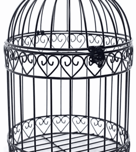Bird Cage Rental - Black