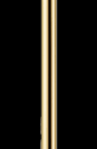 Gold Stanchion