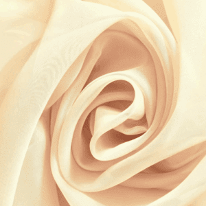 Sheer Voile Champagne 10" H X 10'W