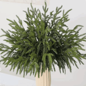 Norfolk Pine Branches -18"